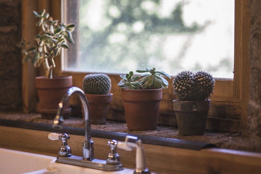 cactus, kitchen, design