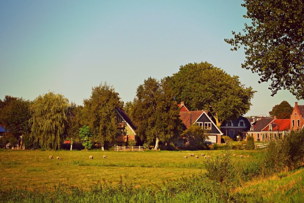 village, houses, meadow